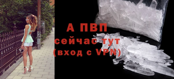 стаф Арсеньев