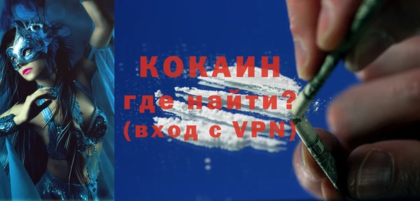 стаф Арсеньев