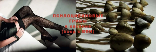 эйфоретик Армянск