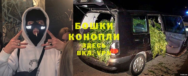 стаф Арсеньев