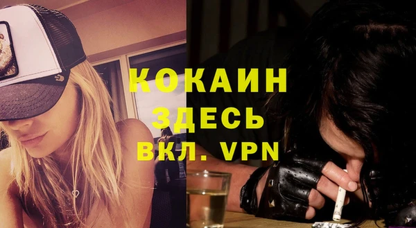 стаф Арсеньев