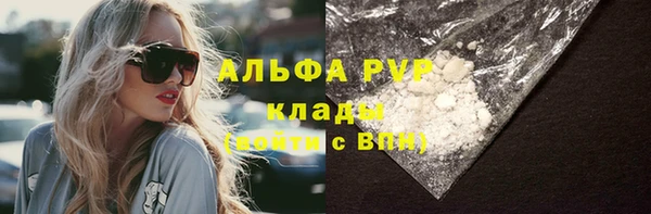 стаф Арсеньев