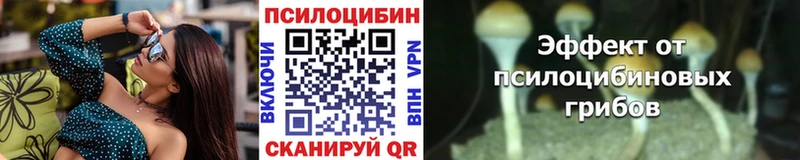 как найти закладки Цивильск Галлюциногенные грибы GOLDEN TEACHER